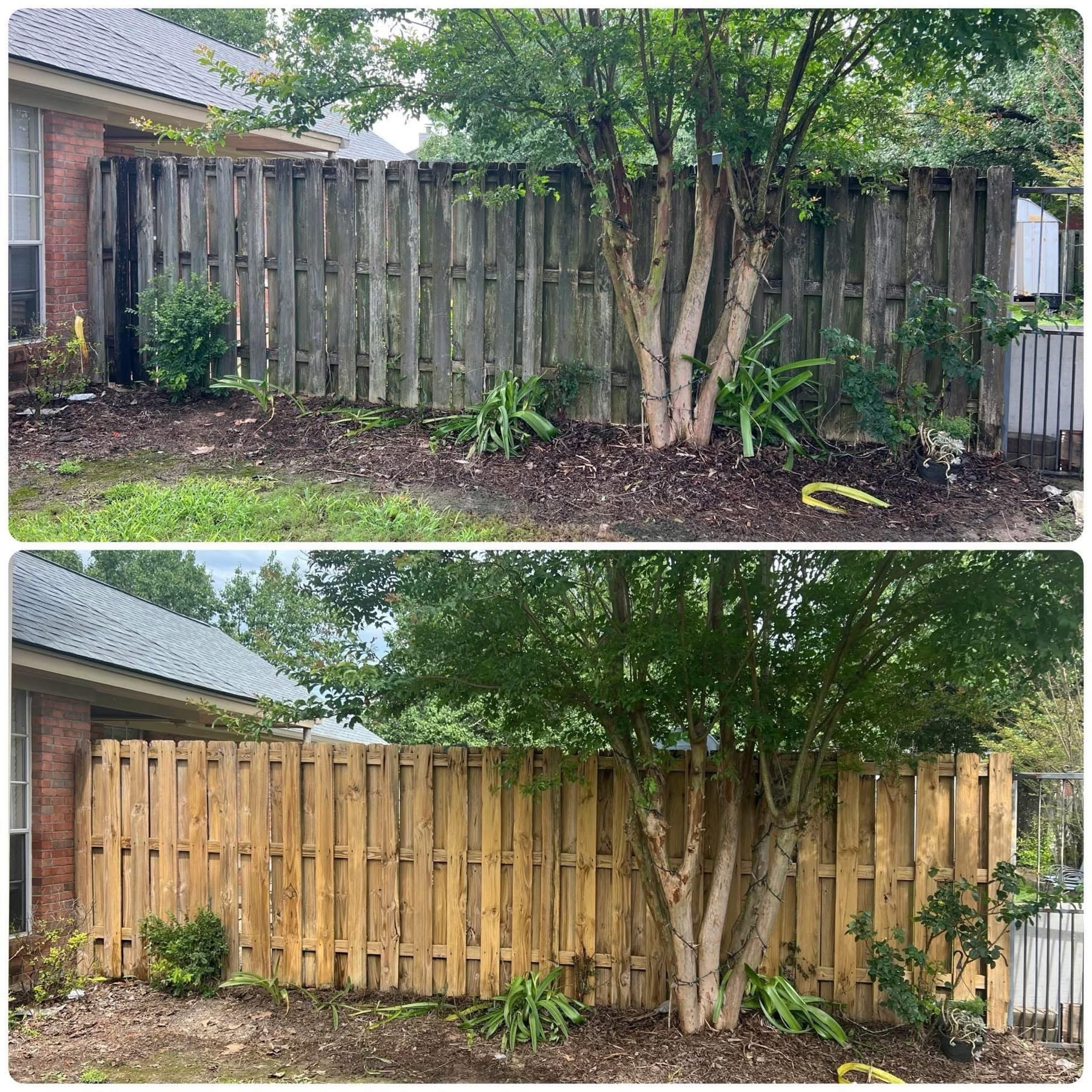 Wood fence before and after cleaning