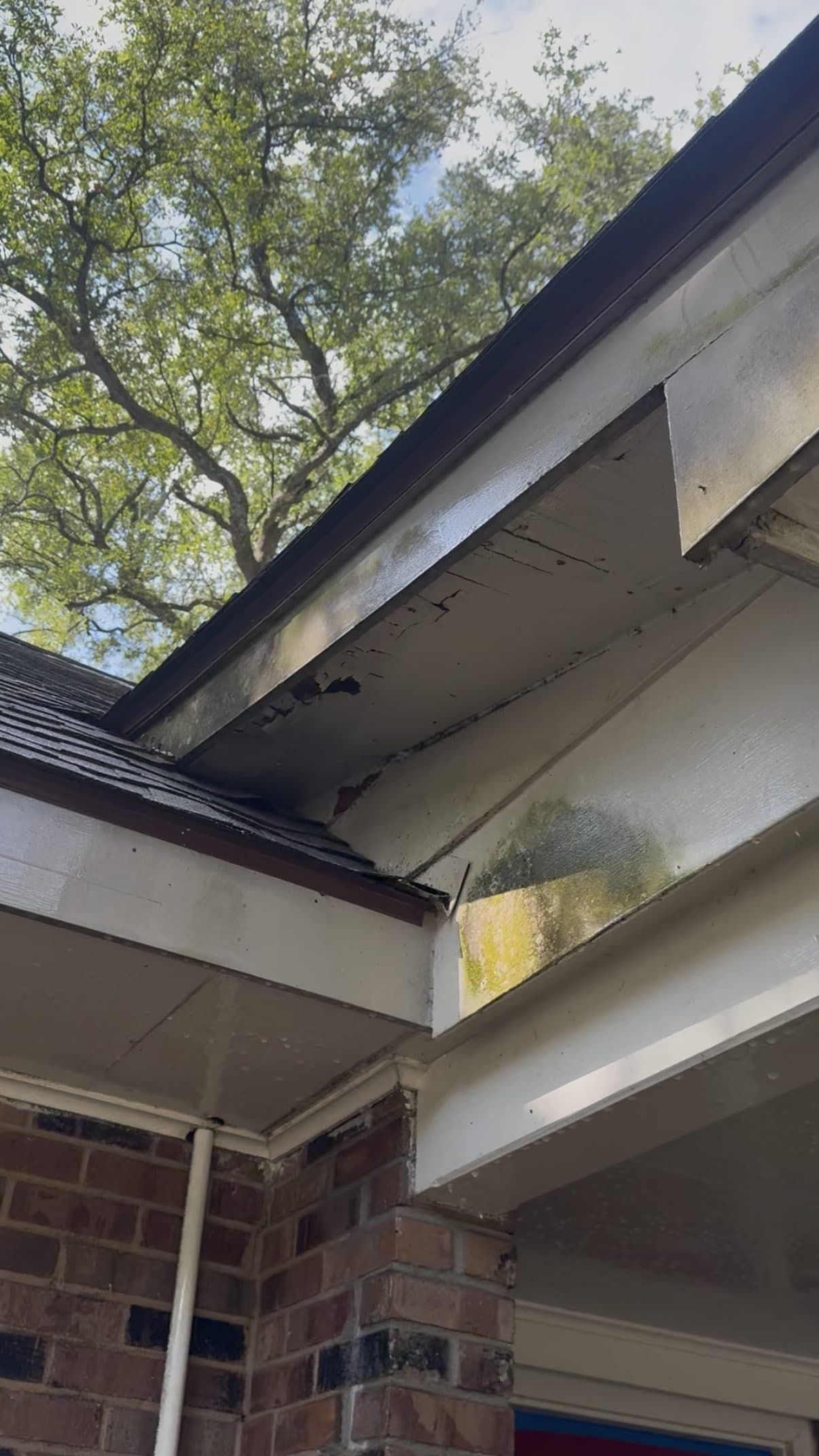 Gutter run and roofline on a Gretna home after clearing